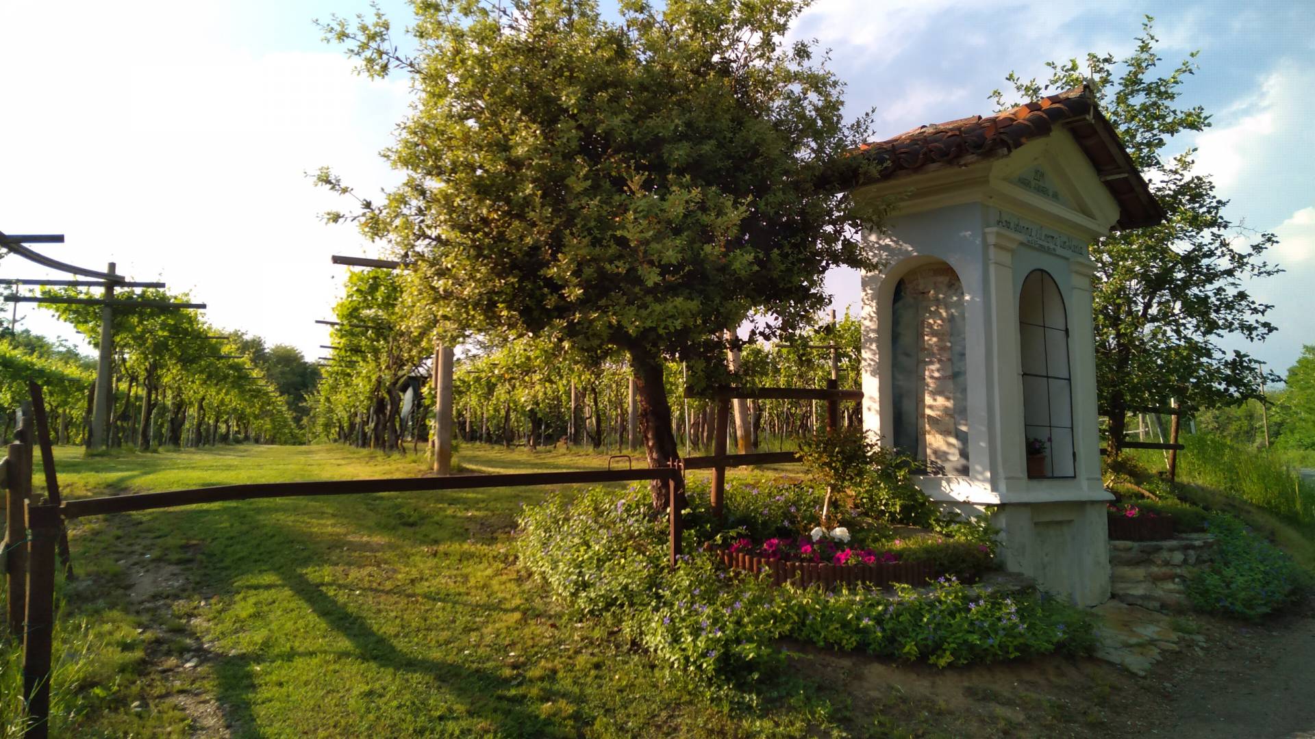 terre-canavese-e-bike-acini-e-rose-guest-house-canavese-3